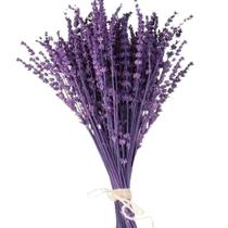 Buquê de Lavanda Natural Desidratada com 40 Hastes Perfumadas (Não acompanha vaso)