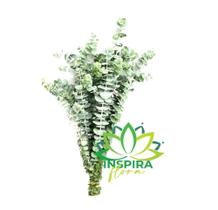 Buque De Mini Eucalipto Desidratado Arranjo Decoração Lembrancinha Casamento Flores