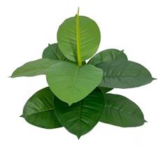Buquê De Planta Ficus Lyrata 9 Folhas Artificial Decoração