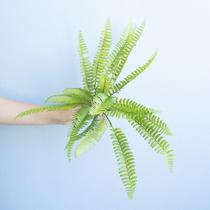 Buque de Samambaia Artificial Linha Permanente Formosinha Buque de Samambaia Artificial Linha Permanente Formosinha