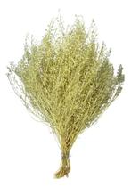 Buquê De Sementinha Desidratadas Secas Alvejada Arranjo Lar