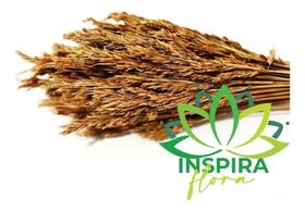 Buquê Desidratada Capim Secos Trigo Arranjo Noiva Casamento