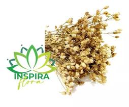 Buque Desidratado Dourado Arranjo Casamento Decoração Vaso