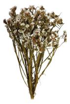 Buquê Estatice Flor Branca Decoração Desidratado Seco Arranjo