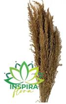 Buquê Flor Cabelinho Desidratado Marrom Folhagem Arranjo