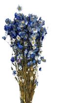 Buque Flor De Margarida Azul Rodante Arranjo Floral - FLORA FULL