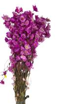 Buque Flor De Margarida Rosa Rodante Arranjo Floral