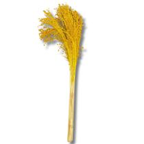 Buquê Flor De Vassoura Cores Natural Arranjo Decoração Festa