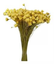 Buque Flor Espeta Nariz Alvejado Desidratado Arranjos Decor