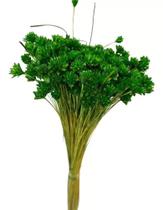 Buque Flor Espeta Nariz Verde Desidratado Arranjos Decor