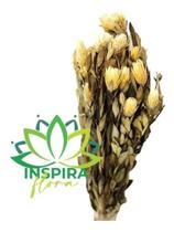 Buque Flor Marapoamba Desidratado Arranjo Guirlanda Interior