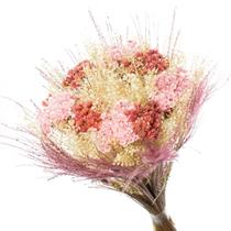 Buque Flor Seca Desidratada Sementinha Decorar