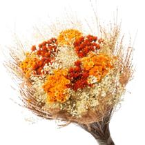 Buque Flor Seca Desidratada sementinha laranja Decorar Sala