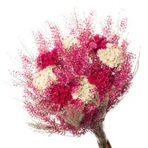 Buque Flor Seca Desidratada sementinha Pink decoração