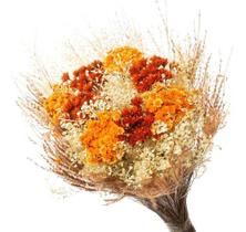 Buque Flor Seca Desidratada Sementinha Presente