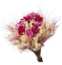 Buque Flor Seca Desidratada Sementinha Presente