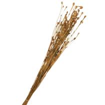 Buquê Flores Campo Desidratadas