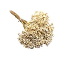 Buquê Flores Sempre Viva Desidratadas Florzinhas Secas Maço com 600 Flores Decorações Lembrancinhas Eventos - Lidernet