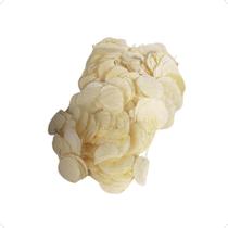 Buque Folha Seca Quina Alvejada Pacote Decoração Vitrin