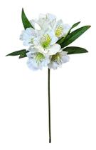 Buque Galho Flores Artificial Astromélia 47cm Branco