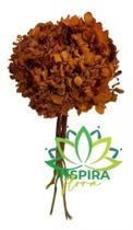 Buquê Hortência Seca Laranja Desidratado Arranjo Floral Luxo