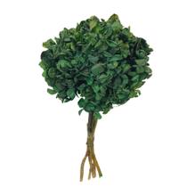 Buquê Hortênsia