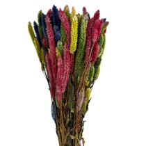 Buque Maço Celosia Rabo De Gato Colorido Flores Desidratadas