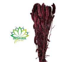 Buque Maço Celosia Rabo De Gato Flores Desidratadas