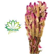 Buque Maço Celosia Rabo De Gato Flores Desidratadas