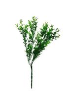 Buque Mini Flores Branco Com Verde X5 Grillo