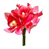 Buque Orquidea Cymbidium - Rose 31cm