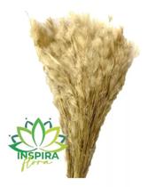 Buque Pluma Pampas Grass Luxo Arranjo Elegante Decoração Lar