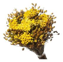 Buquê Preservado Rústico Colorido n1 Buquê Preservado Rústico Colorido n1