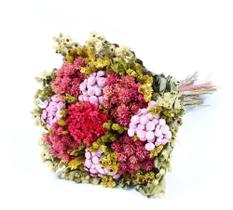 Buquê Preservado Rústico Colorido N5 I Flores Desidratadas