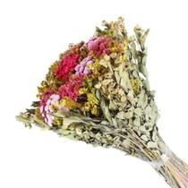 Buquê Preservado Rústico Colorido n5 Buquê Preservado Rústico Colorido n5