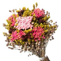 Buquê Preservado Rústico Colorido n9 Buquê Preservado Rústico Colorido n9