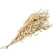 Buquê Samambaia Imperial Desidratada Alvejada Buquê Samambaia Imperial Desidratada Alvejada