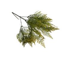 Buque Samambaia Renda Portuguesa outonal Planta Artificial Premium Buque Samambaia Renda Portuguesa outonal Planta Artificial Premium