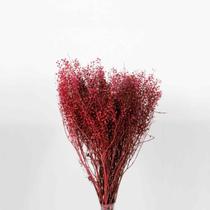 Buquê Sementinha Vermelho Buquê Sementinha Vermelho