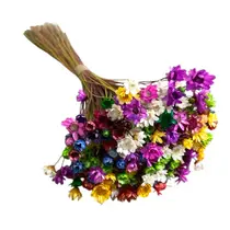 Buquê Sempre Viva Florezinhas Coloridas Flores Desidratadas Decorações