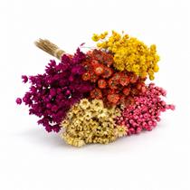 Buquê Sempre Viva Florezinhas Coloridas Flores Desidratadas Decorações Buquê Sempre Viva Florezinhas Coloridas Flores Desidratadas Decorações