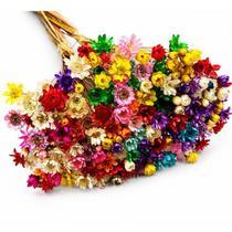 Buquê Sempre Viva Natural Flores Secas para Decoração e Artesanato 400 unidades Buquê Sempre Viva Natural Flores Secas para Decoração e Artesanato 400 unidades