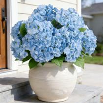 Buquês de hortênsia de flores artificiais INXUGAO, 3 peças, azul claro Buquês de hortênsia de flores artificiais INXUGAO, 3 peças, azul claro