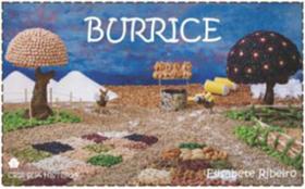 Burrice - coleçao crie sua historia
