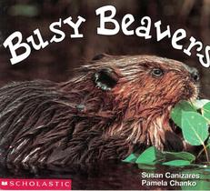 Busy beavers - SCHOLASTIC