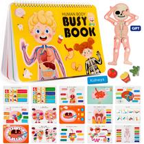 Busy Book Freebear Montessori Human Body Anatomy Kids 4-8 anos Busy Book Freebear Montessori Human Body Anatomy Kids 4-8 anos