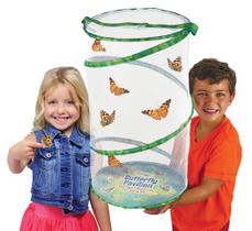 Butterfly Garden Insect Lore Giant com voucher e estatuetas