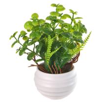 Buxus Artificial 15cm com Pote Plástico Verde Decorativo Buxus Artificial 15cm com Pote Plástico Verde Decorativo