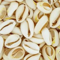 Búzios Cortados Conchas do Mar Natural 18x25mm 50un 125g Artesanato Búzios Cortados Conchas do Mar Natural 18x25mm 50un 125g Artesanato