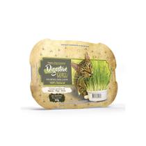 Caats Green Digestive Grass 50g - Grama Digestiva Gatos